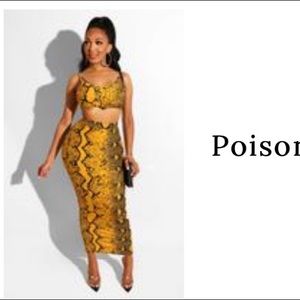 snake print maxi skirt set